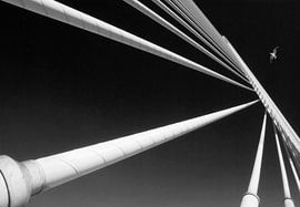 Pont en symétrie, lignes et goéland.  sur Marcel van Balken
