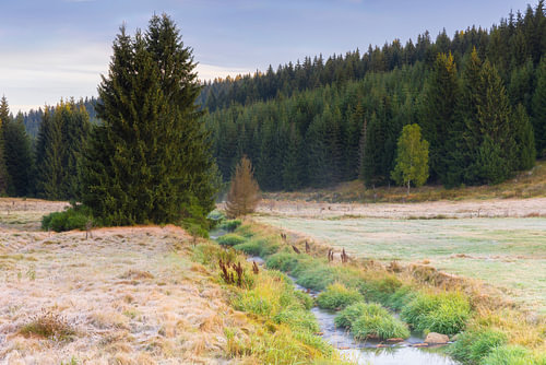 The Schwarzwassertal in late summer