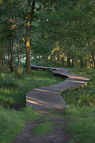 loopbrug plateaux
