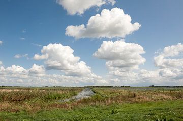 Lake Lakeland by Richard Wareham