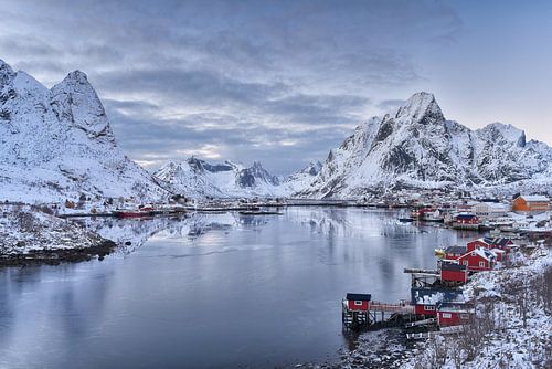 Arctic Winter in Reine - Beautiful Lofoten