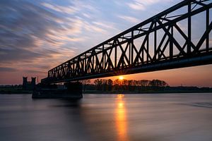 Rheinpark, Duisburg, Deutschland