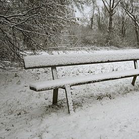 Waiting for Spring: Snowy Bench by Kristof Leffelaer