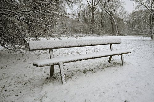 Wachten op de Lente: Besneeuwde Zitbank
