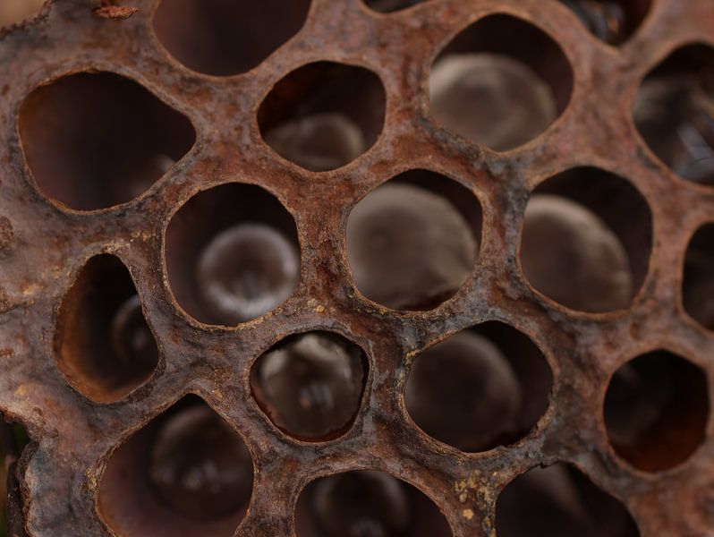 Structure par Daniëlle Eibrink Jansen