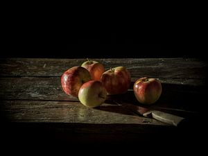 Pommes sur Miriam Meijer, en pleine campagne.....