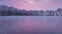 Special effects op het ijs in roze van Karla Leeftink thumbnail