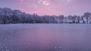 Special effects on the ice in pink von Karla Leeftink