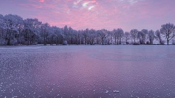 Special effects op het ijs in roze van Karla Leeftink