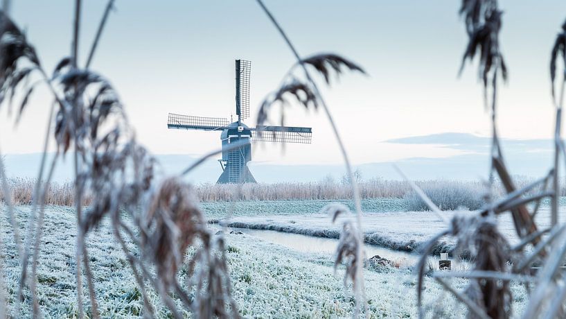 View to the Broekmolen by René Groenendijk