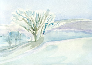 Winterland