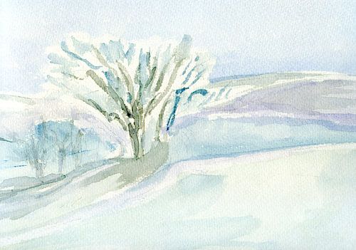 Winterland