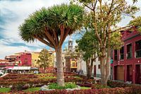 La Orotava op Tenerife