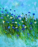 Blue cornflowers
