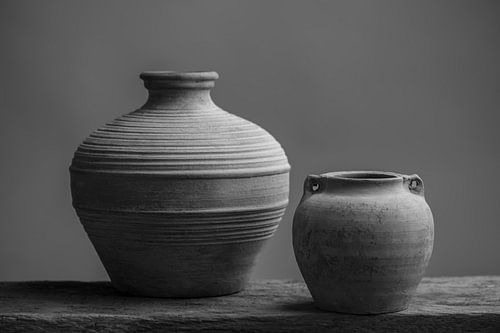 Vases en noir et blanc sur Raoul van Meel