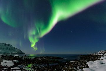 Nordlichter, Polarlicht oder Aurora Borealis im nächtlichen Himmel über Senja