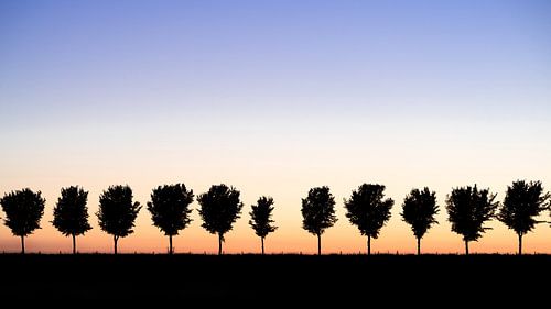 Als de zon ondergaat in Noord Holland
