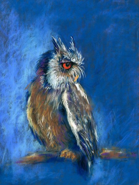 Eule vor blauem Nachthimmel Pastellgemälde von Karen Kaspar