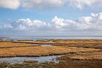 Kwelder bij Stryp op Terschelling