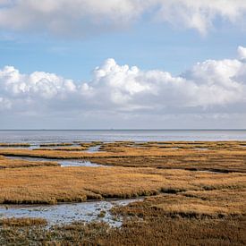 Kwelder at Stryp on Terschelling by Russcher Tekst & Beeld