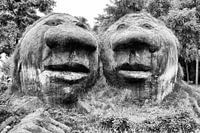 Stone Faces