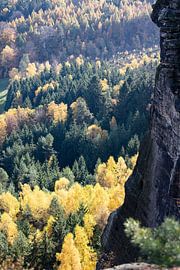 Am Abgrund von Mandy Faulhaber