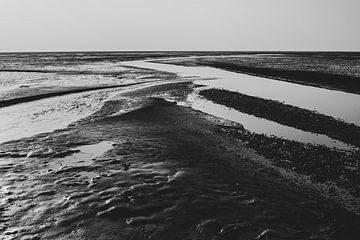 Paesens, Friesland  waddenzee landschap in zwart wit van Denise Tiggelman