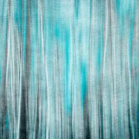 Abstract birches