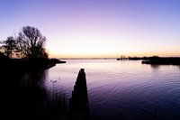 Riser in Terherne at sunrise