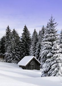 Winter in de bergen van Renate Knapp