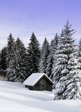 Winter in the mountains by Renate Knapp