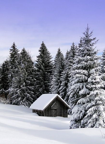 L'hiver en montagne par Renate Knapp