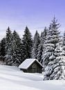 Winter in den Bergen von Renate Knapp Miniaturansicht