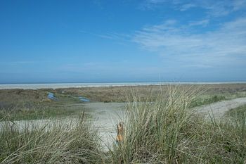 Dünen bei Schiermonnikoog