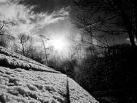Sneeuw