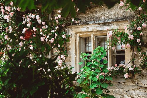 Chalet confortable au milieu des roses