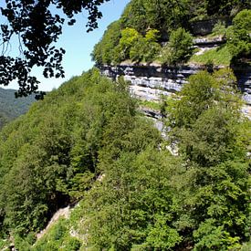 Vallée avec forêt et roche stratifiée dans le Jura, France sur Monrey