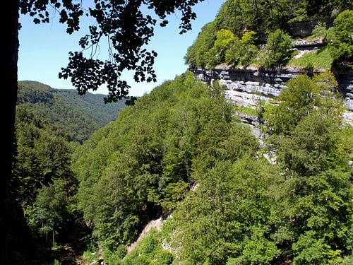 Valley with forest and stratified rock in Jura, France