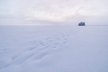 Eilandje met bomen in een volledig bevroren meer van Martijn Smeets