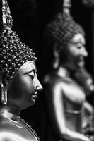 A row of seated Buddhas