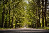 Un long chemin à parcourir