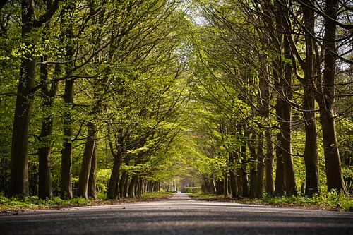 Ein langer Weg liegt noch vor uns