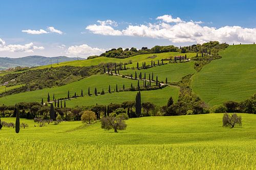 Spring in Tuscany