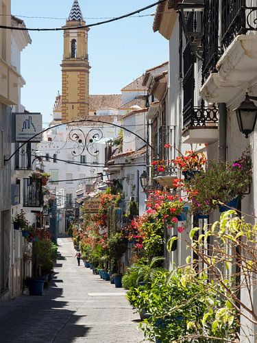 Bunte strasse in Estepona-2