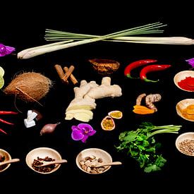 Welt der Gewürze aus Indonesien von Anjo Kan