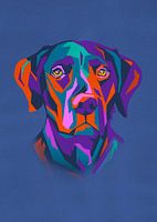 Labrador pop art