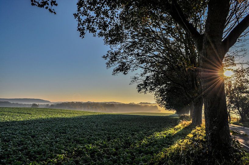 Sonnenaufgang, Deutsche Alleenstraße bei Vilmnitz auf Rügen von GH Foto & Artdesign