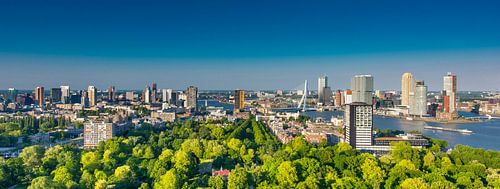 Skyline von Rotterdam grün und blau