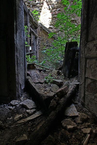 ruïne by Jean Jacobs