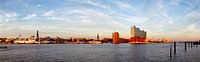 Port panorama Hamburg by Dirk Rüter thumbnail
